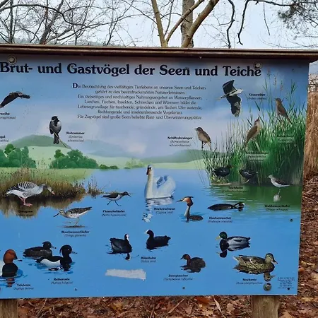 Waldidyll Am See Holiday home Reichenwalde