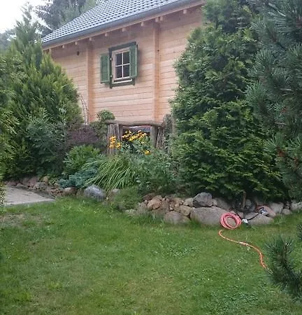 Holiday home Waldidyll Am See Reichenwalde
